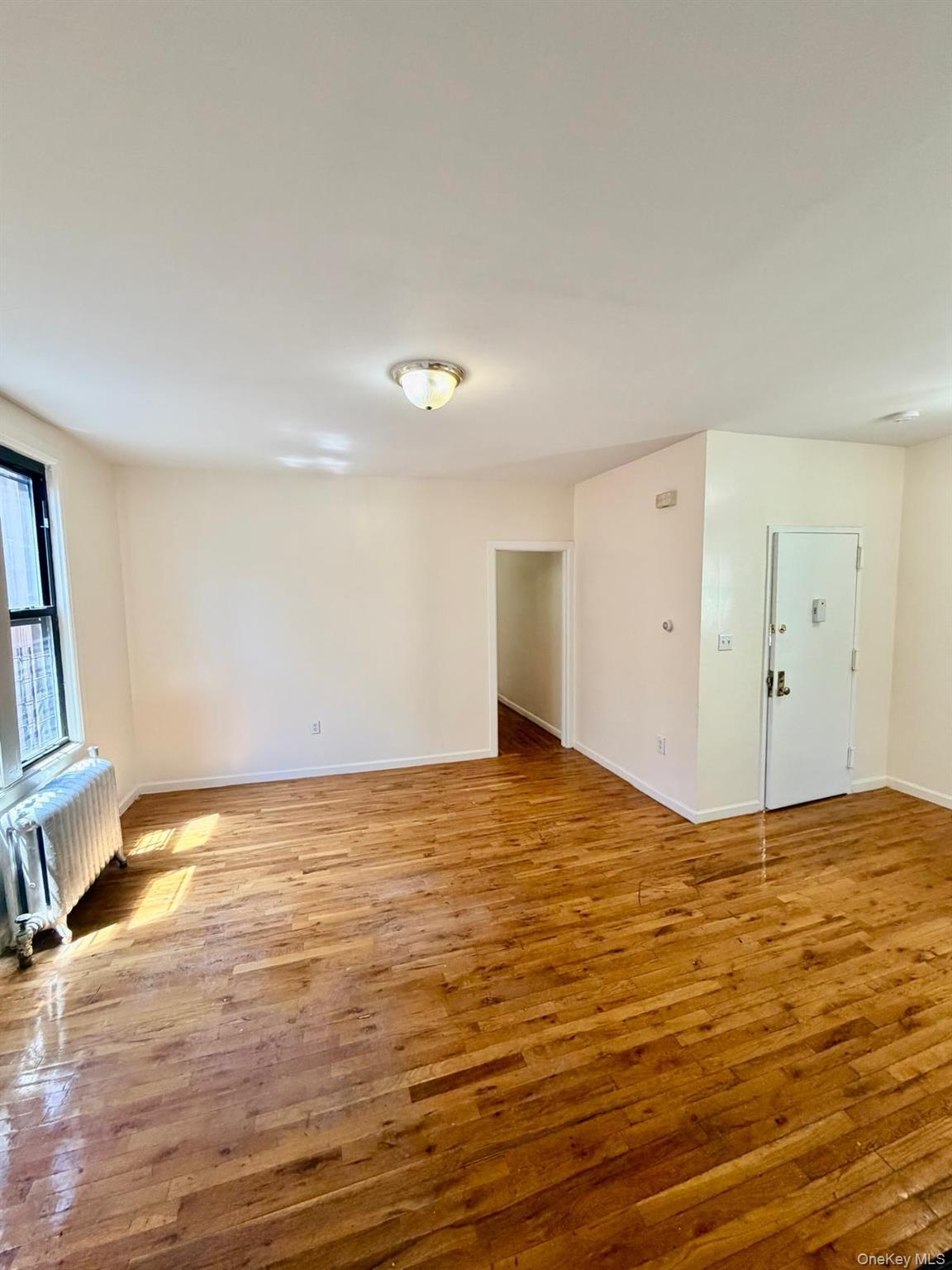 Single Family Bassford Avenue Bronx, NY 10458, MLS-1005994-8