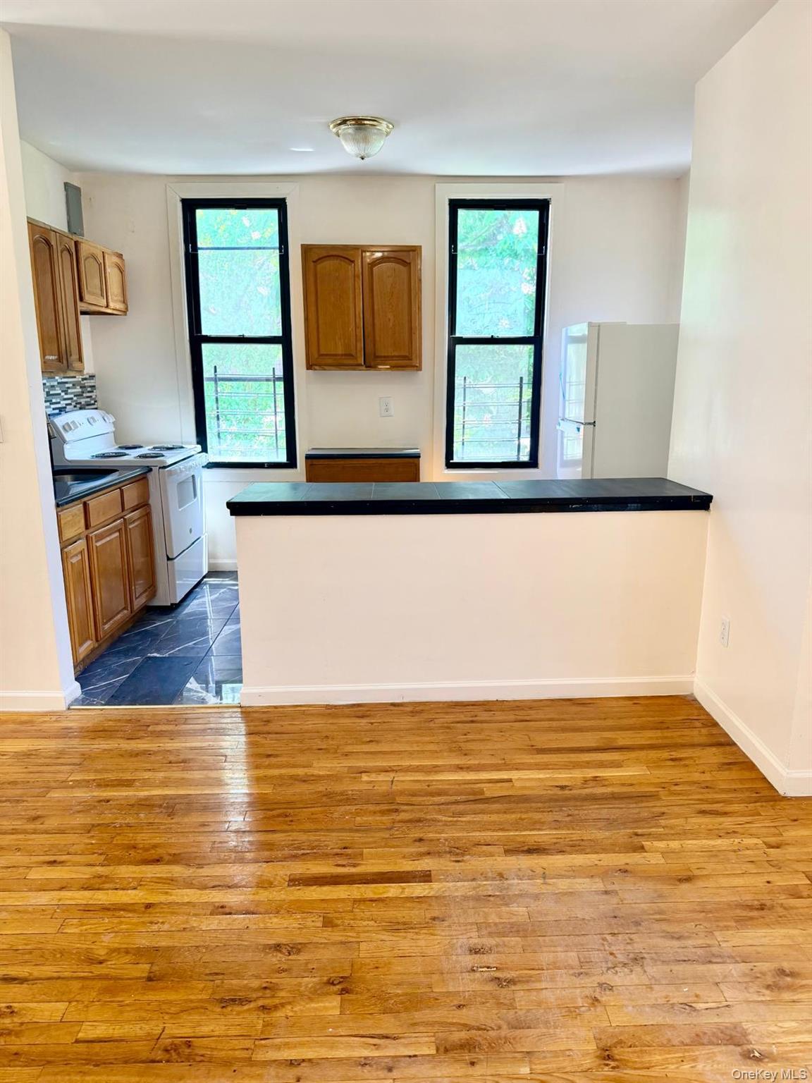 Single Family Bassford Avenue Bronx, NY 10458, MLS-1005994-9
