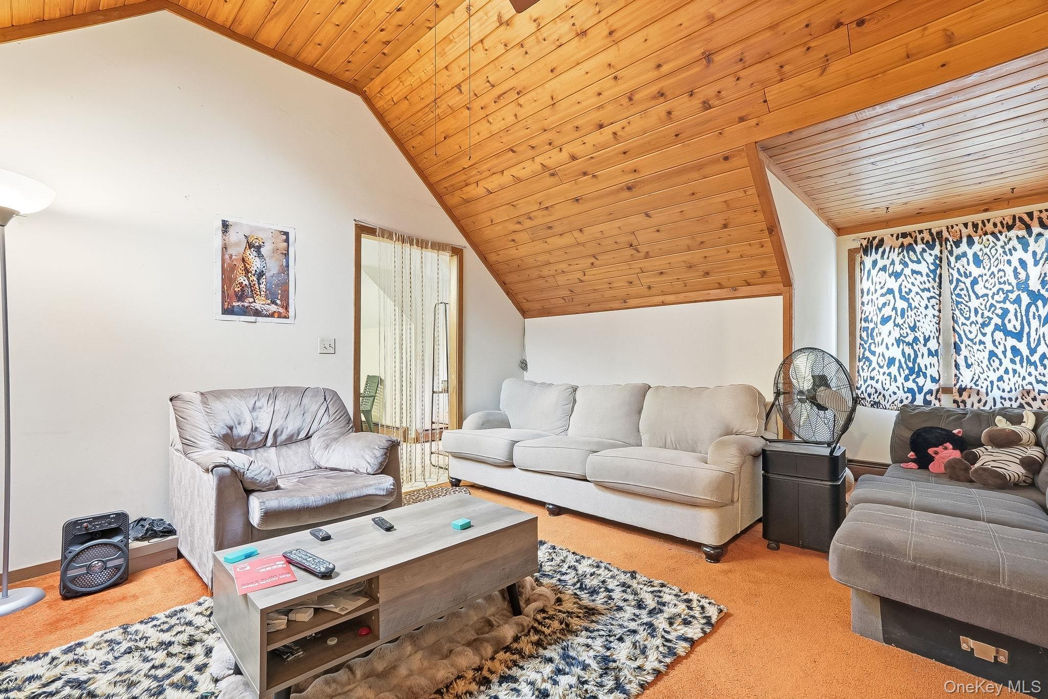 Single Family Youngblood Road Orange County, NY 12549, MLS-1006008-26