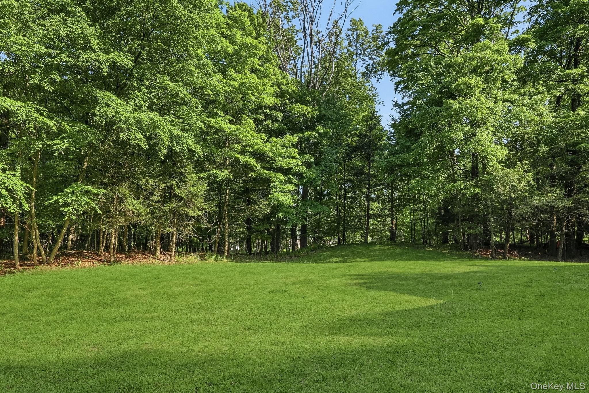 Single Family Youngblood Road  Orange County, NY 12549, MLS-1006008-36