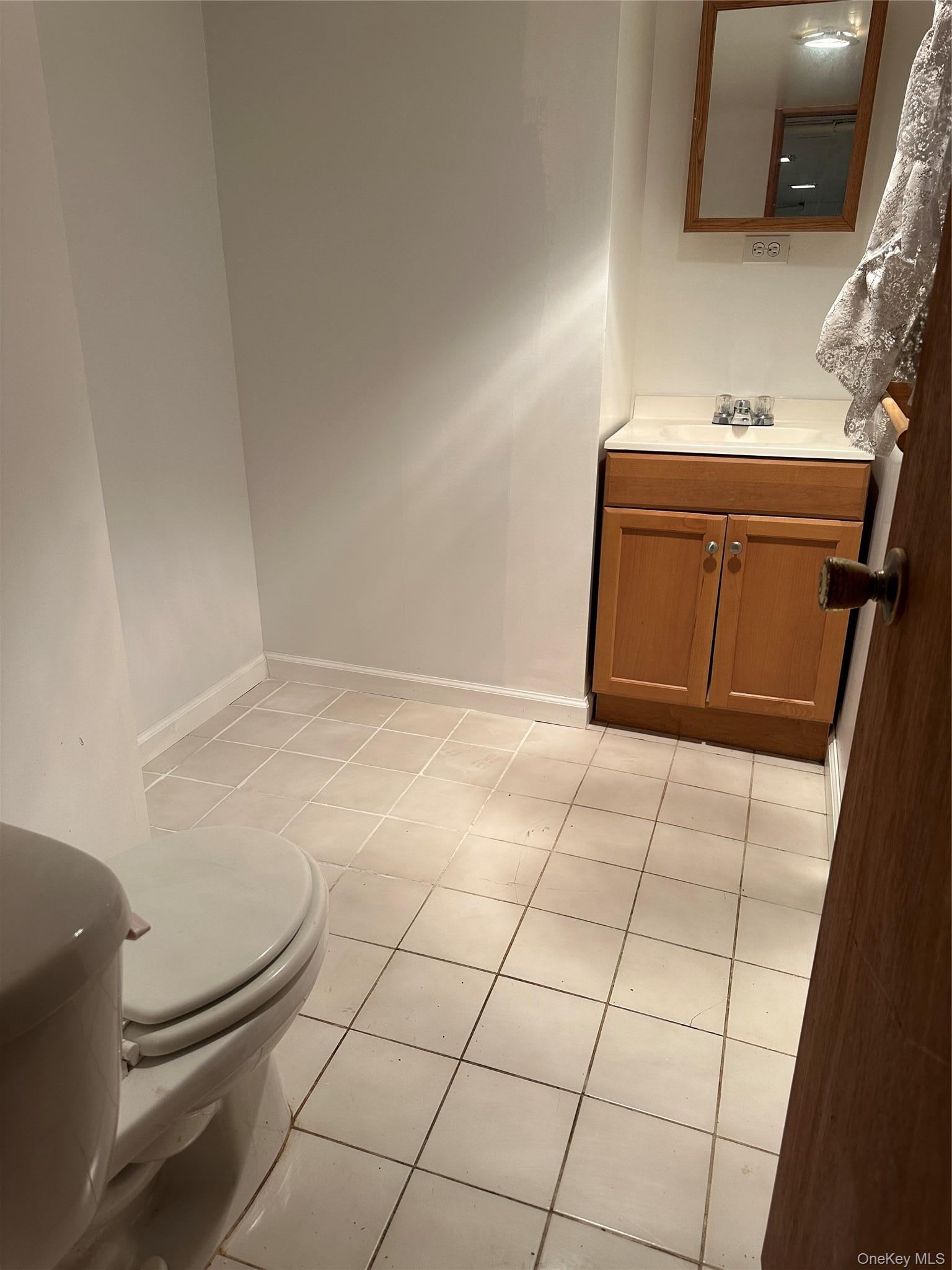 Single Family 65th Queens, NY 11385, MLS-1006055-7
