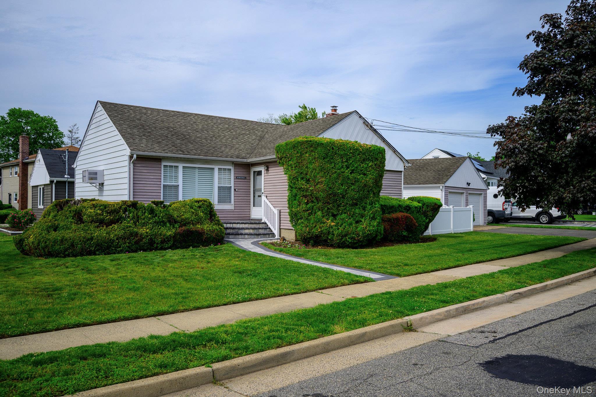 WebID:  1006058