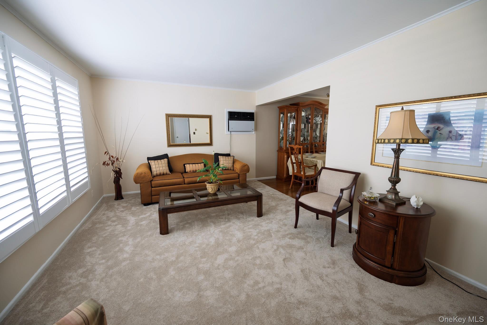 Single Family Boylston Street Nassau County, NY 11550, MLS-1006058-10