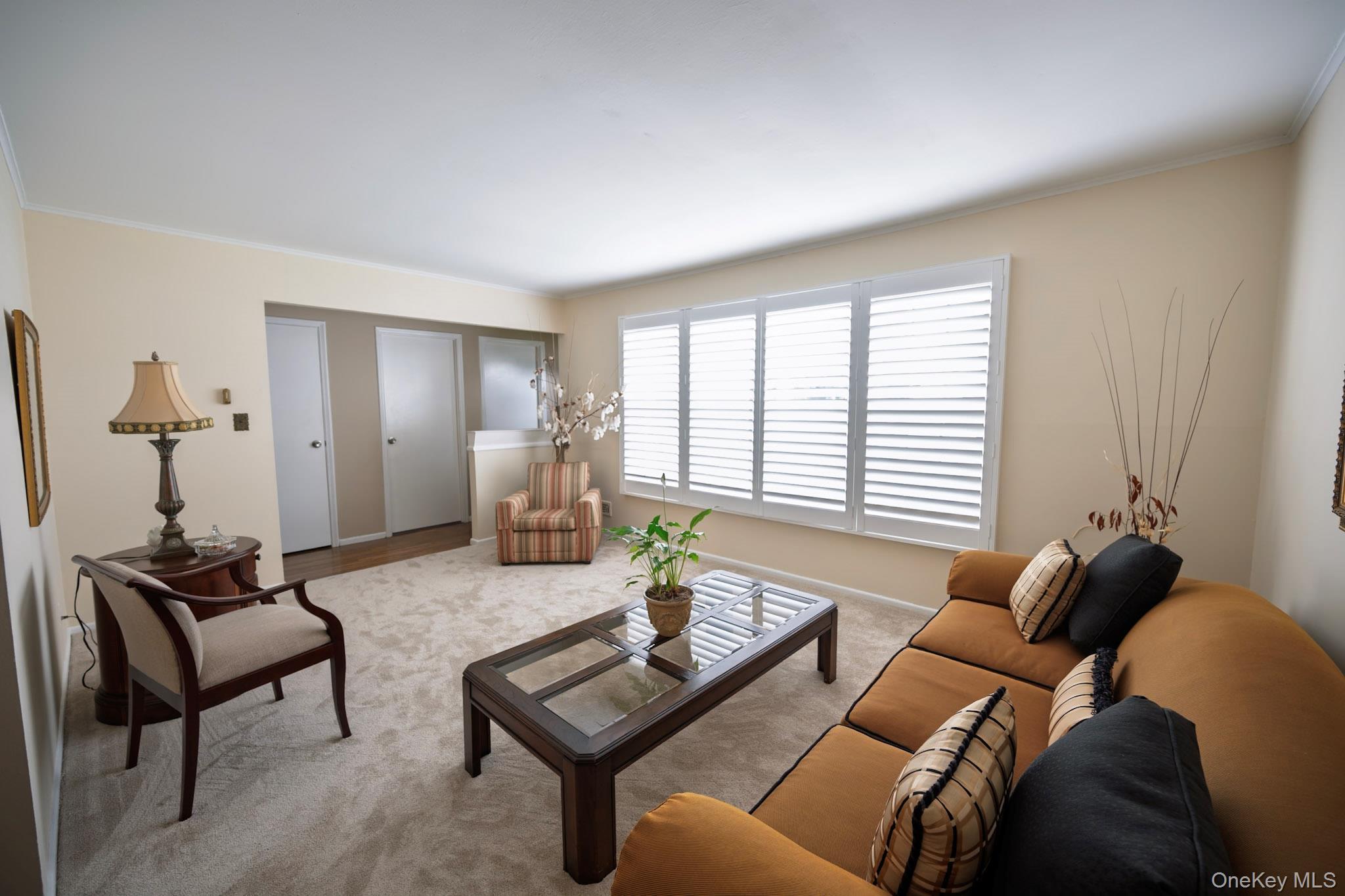 Single Family Boylston Street Nassau County, NY 11550, MLS-1006058-11