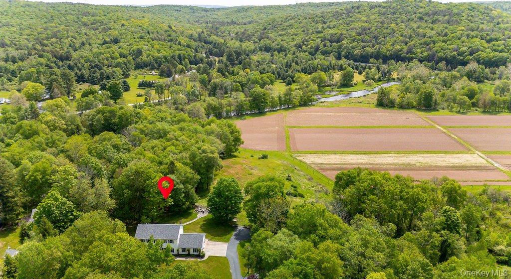 Single Family Grey Road Sullivan County, NY 12779, MLS-1006069-45
