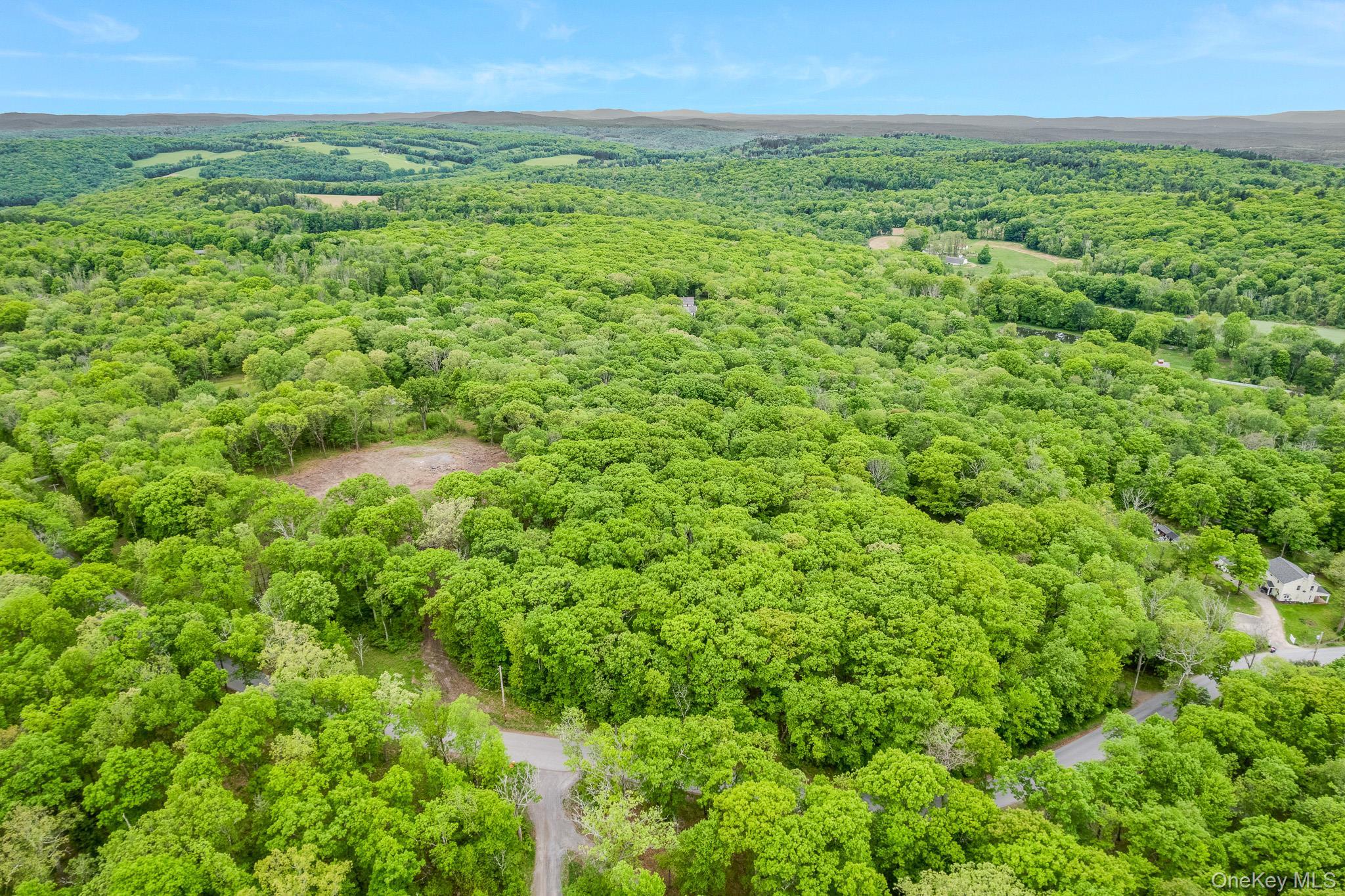 Single Family N Tower Hill Road Dutchess County, NY 12545, MLS-1006093-16