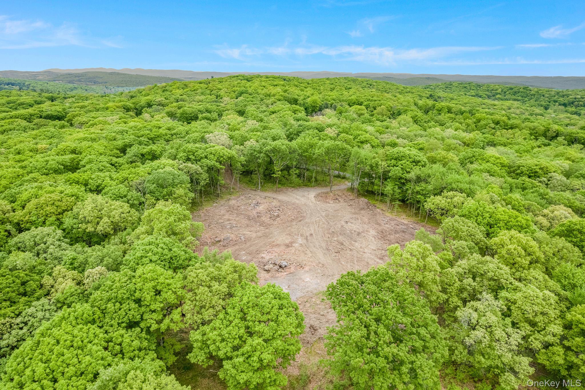 Single Family N Tower Hill Road Dutchess County, NY 12545, MLS-1006093-17