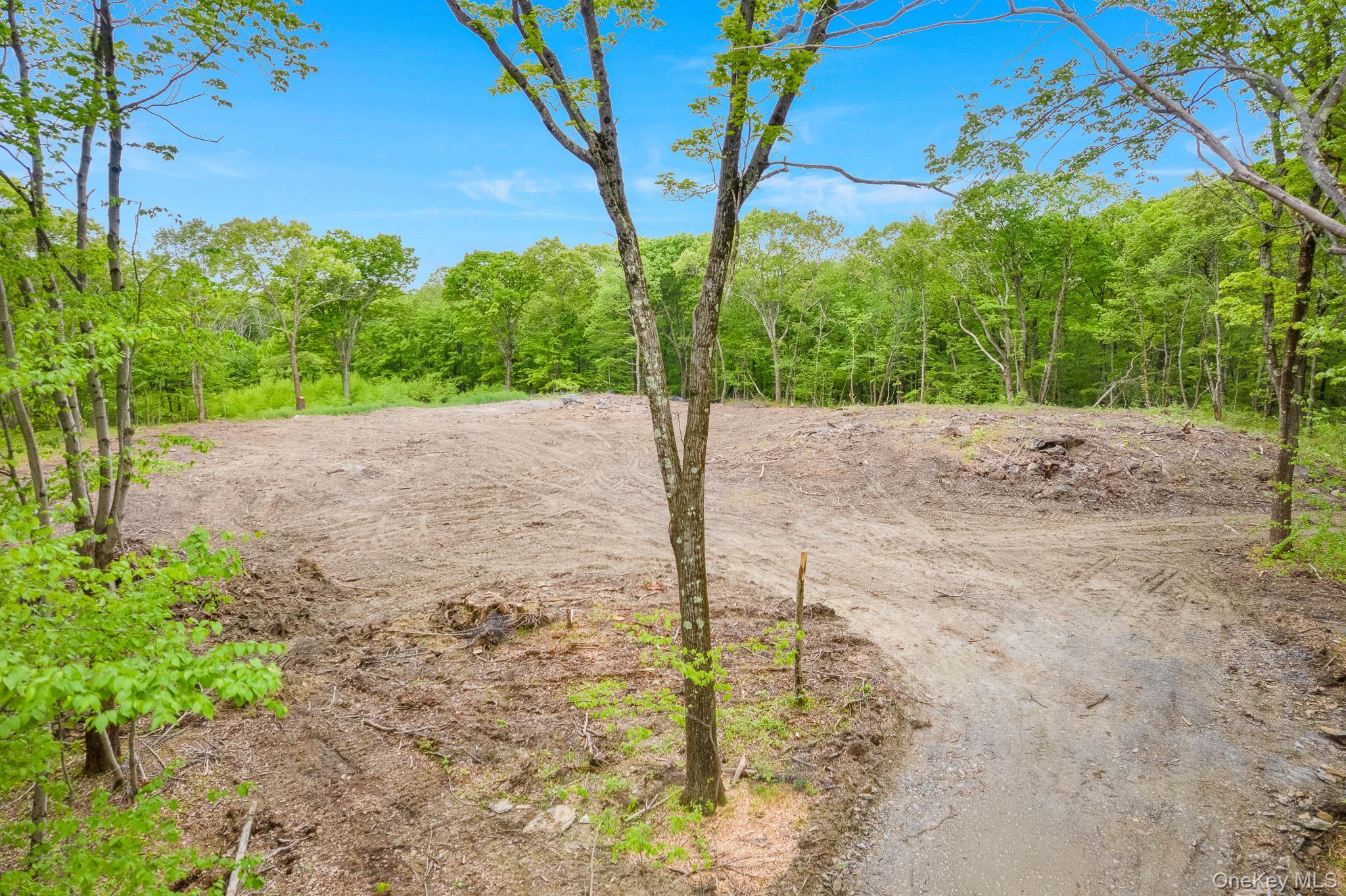 Single Family N Tower Hill Road Dutchess County, NY 12545, MLS-1006093-18