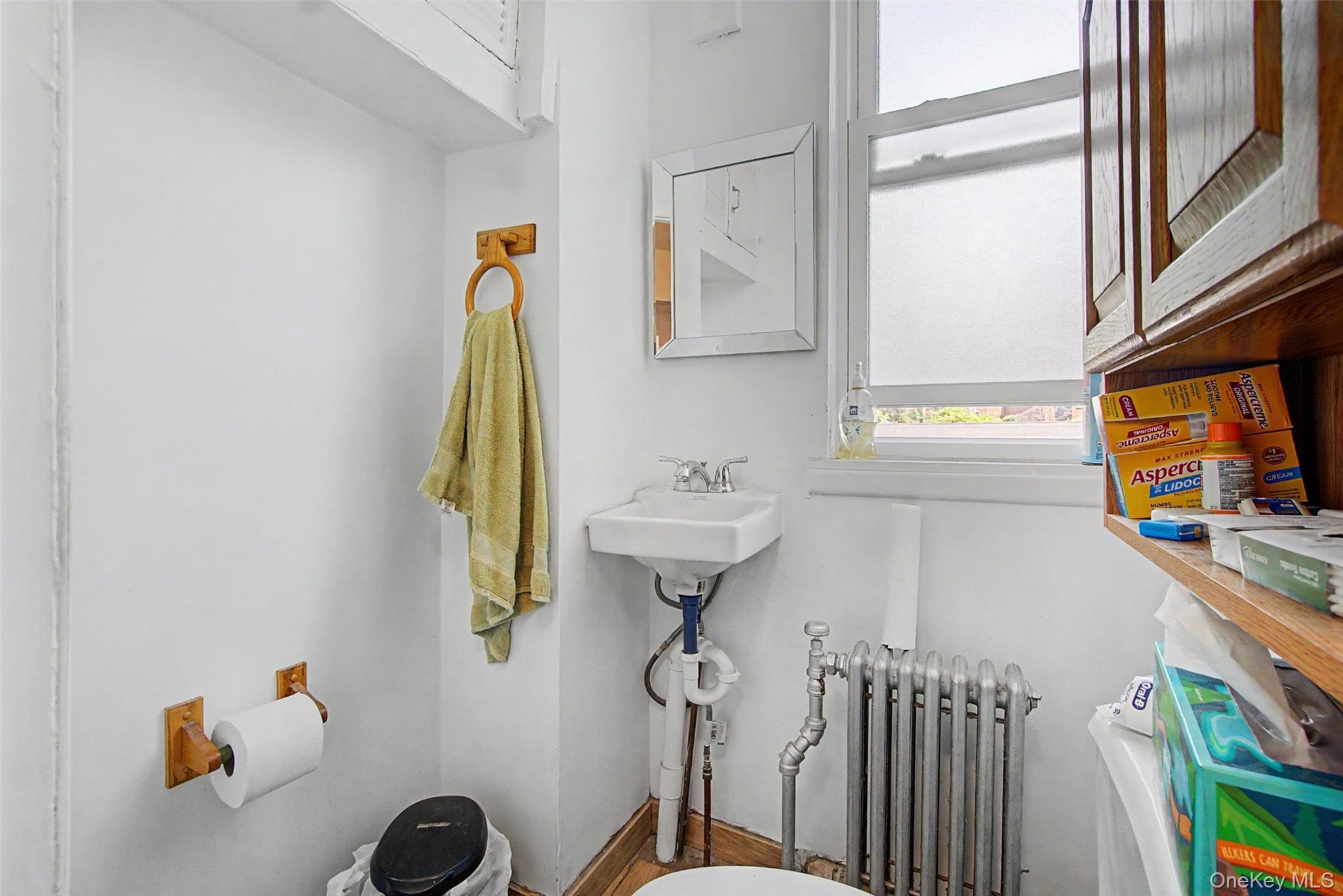 Single Family Merry Avenue Bronx, NY 10461, MLS-1006195-18