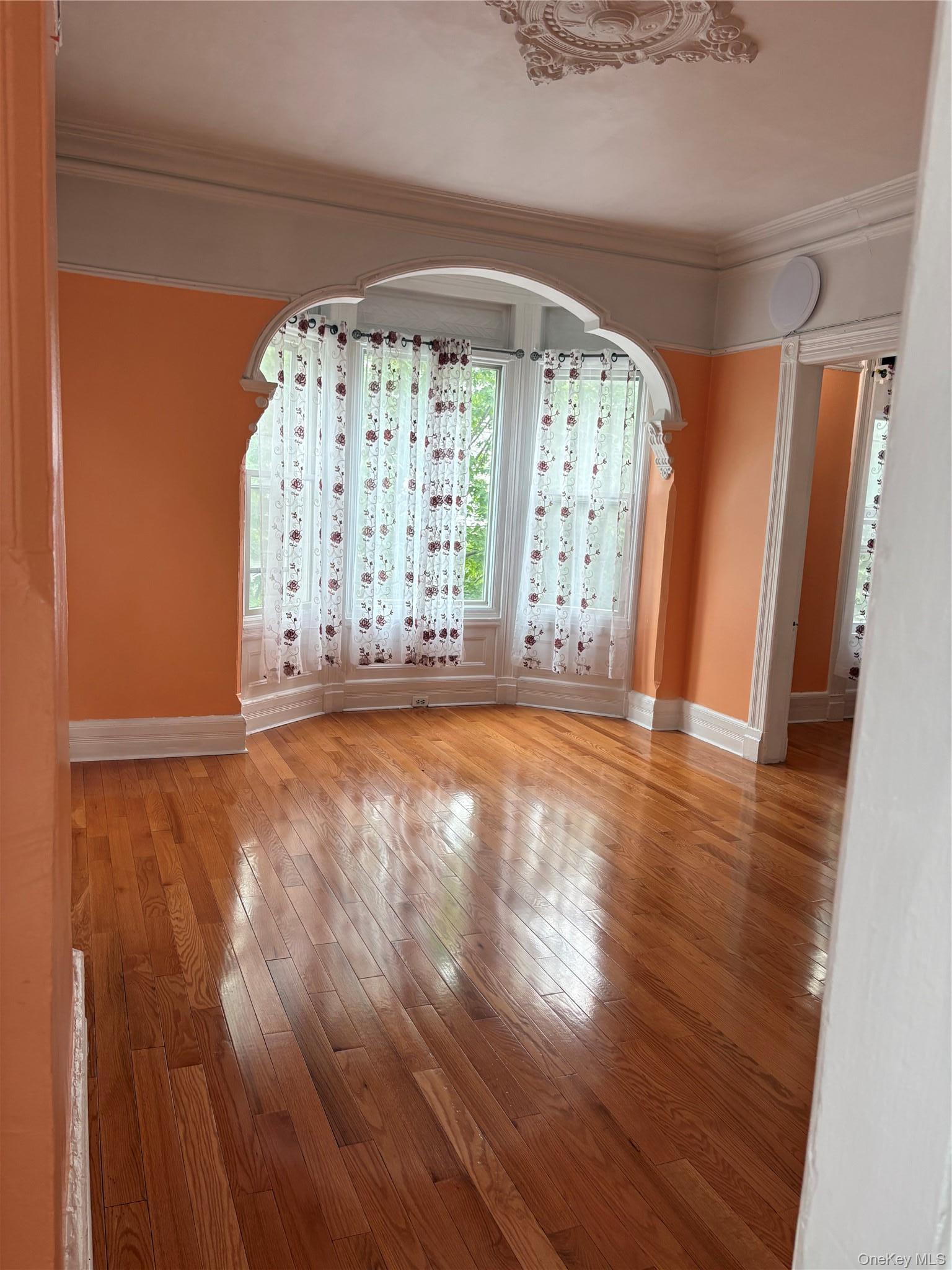 Apartment Schenck  Brooklyn, NY 11207, MLS-1006221-3