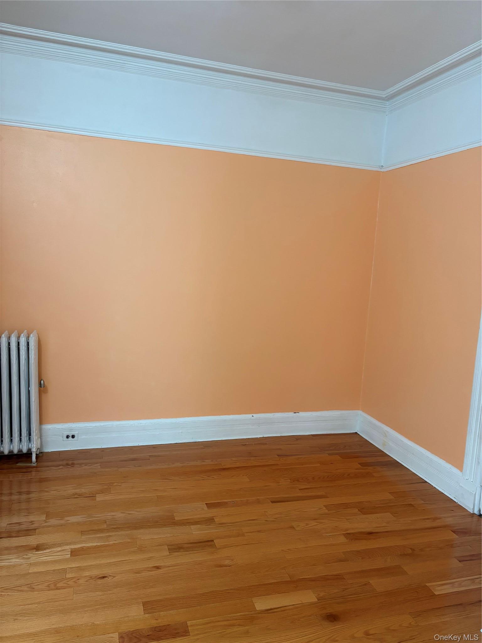 Apartment Schenck  Brooklyn, NY 11207, MLS-1006221-4