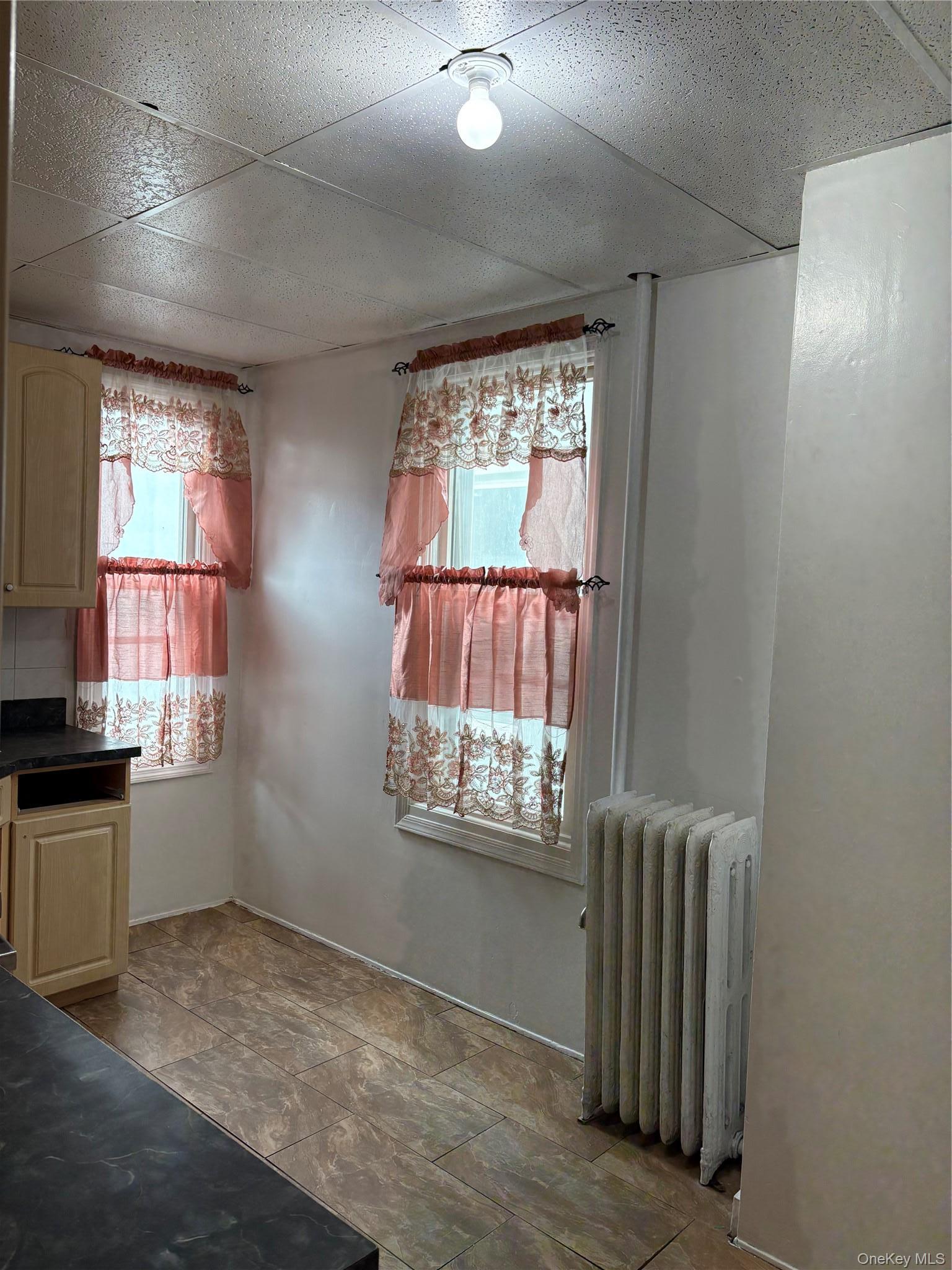 Apartment Schenck  Brooklyn, NY 11207, MLS-1006221-5