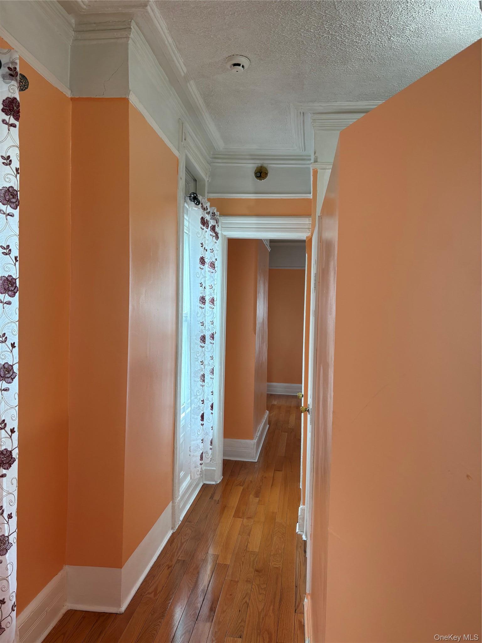 Apartment Schenck  Brooklyn, NY 11207, MLS-1006221-6