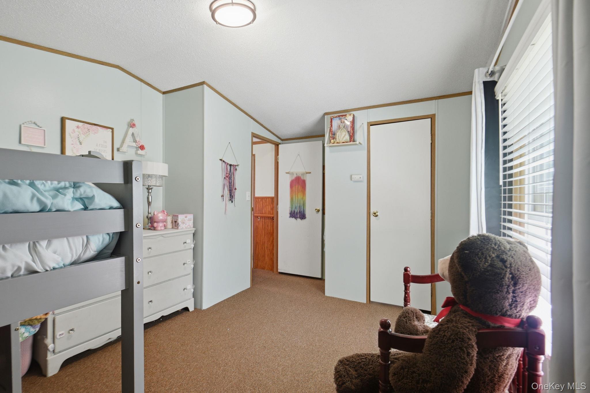 Single Family Hidden Valley Drive Orange County, NY 10941, MLS-1006256-19