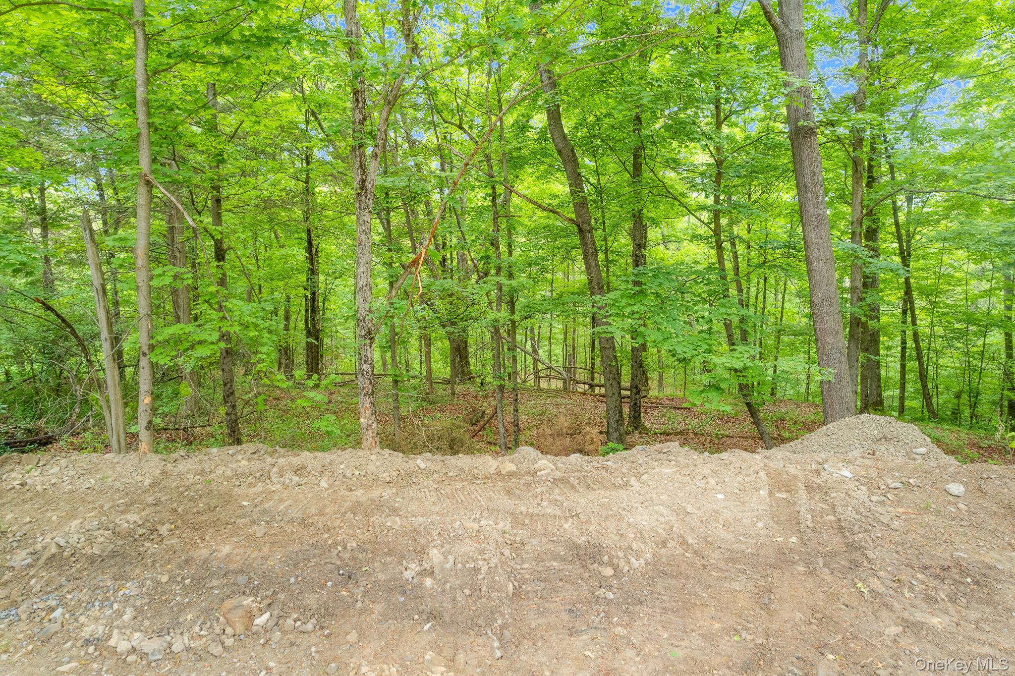 Single Family Donlo Drive Dutchess County, NY 12524, MLS-1006286-17