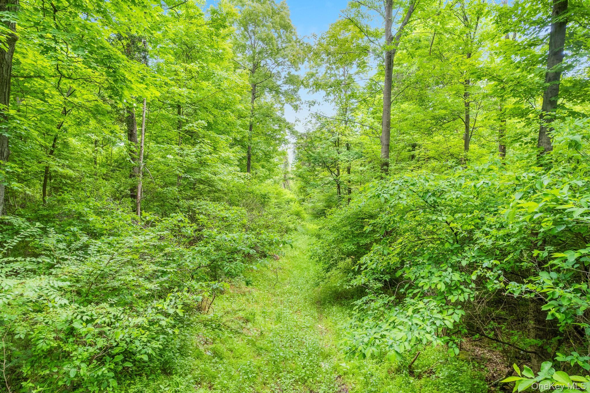 Single Family Donlo Drive  Dutchess County, NY 12524, MLS-1006286-19