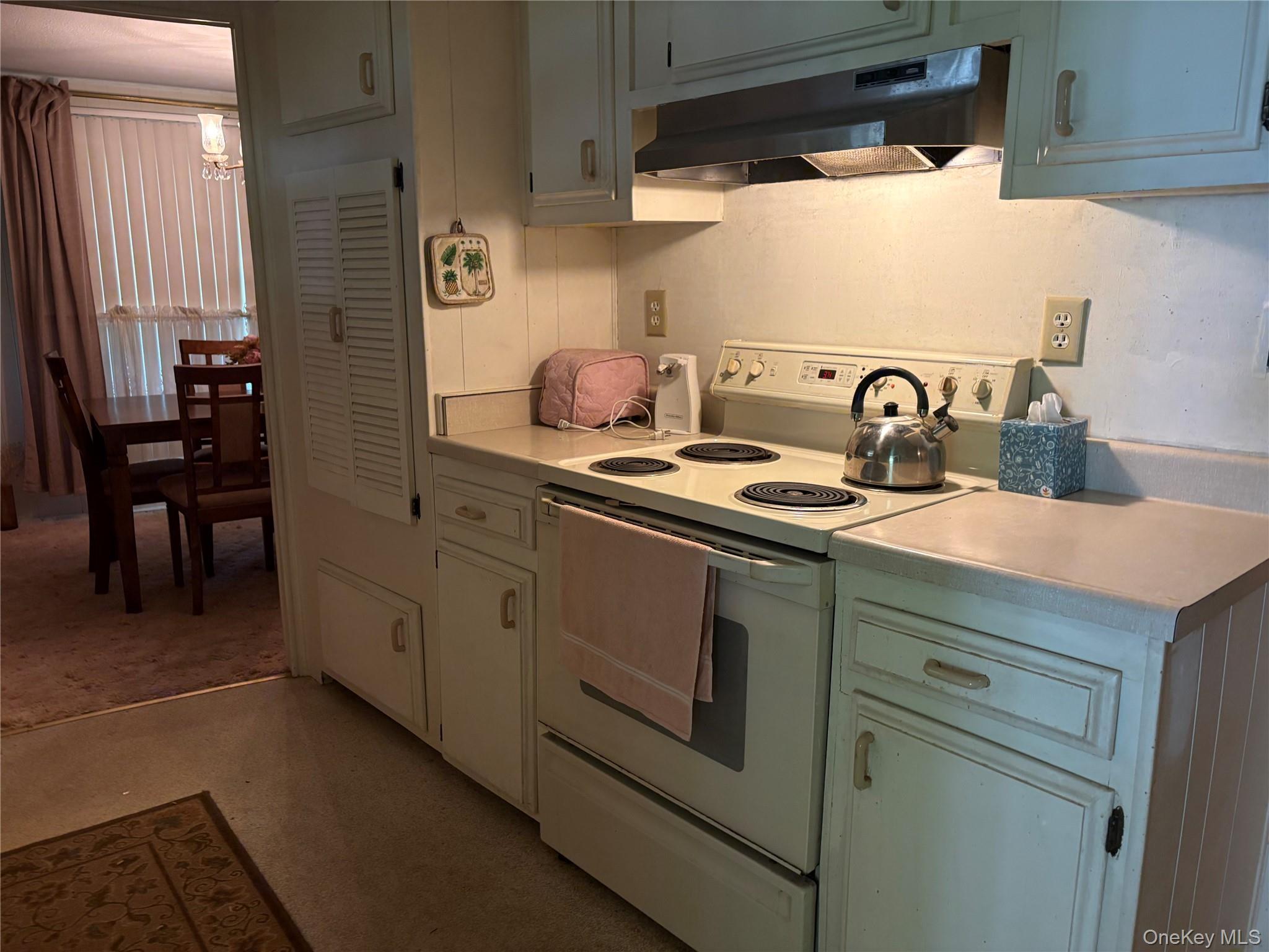 Single Family Riverleigh Ave  Suffolk County, NY 11901, MLS-1006319-2