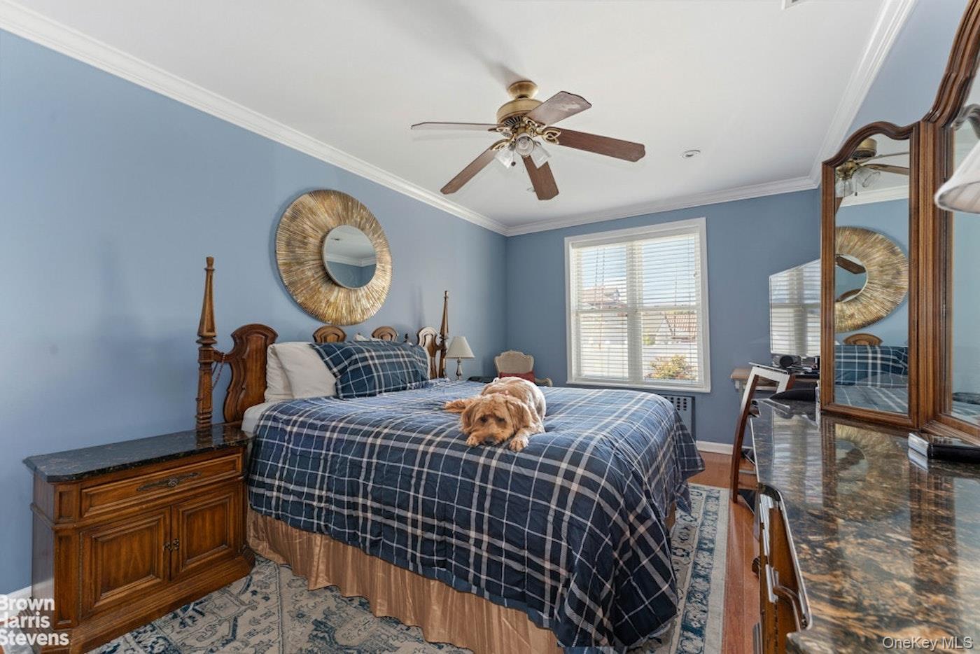 Single Family 150th Street  Queens, NY 11357, MLS-1006342-12