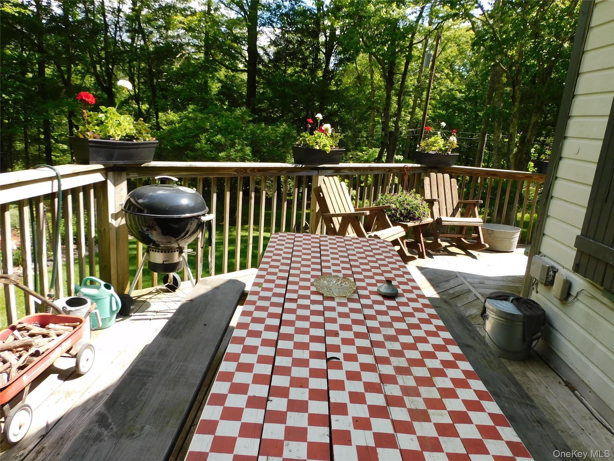 Single Family Church Road Sullivan County, NY 12763, MLS-1006355-10