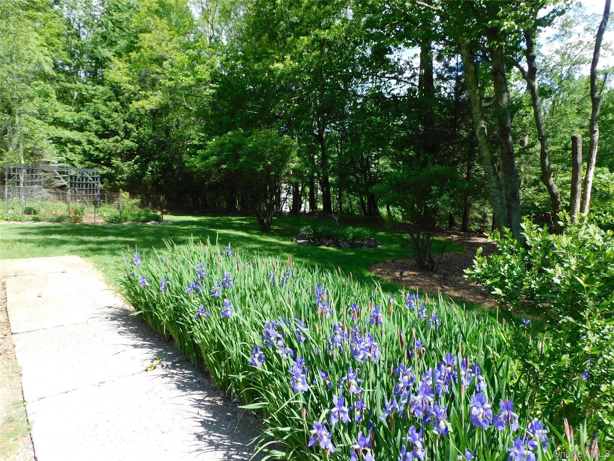 Single Family Church Road Sullivan County, NY 12763, MLS-1006355-6