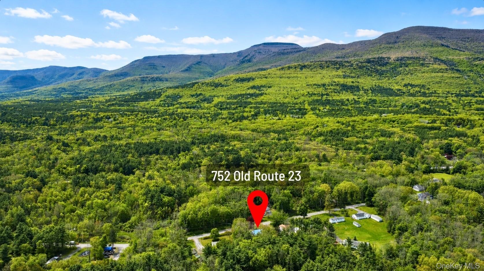 Single Family Old Route 23  Greene County, NY 12405, MLS-1006359-25