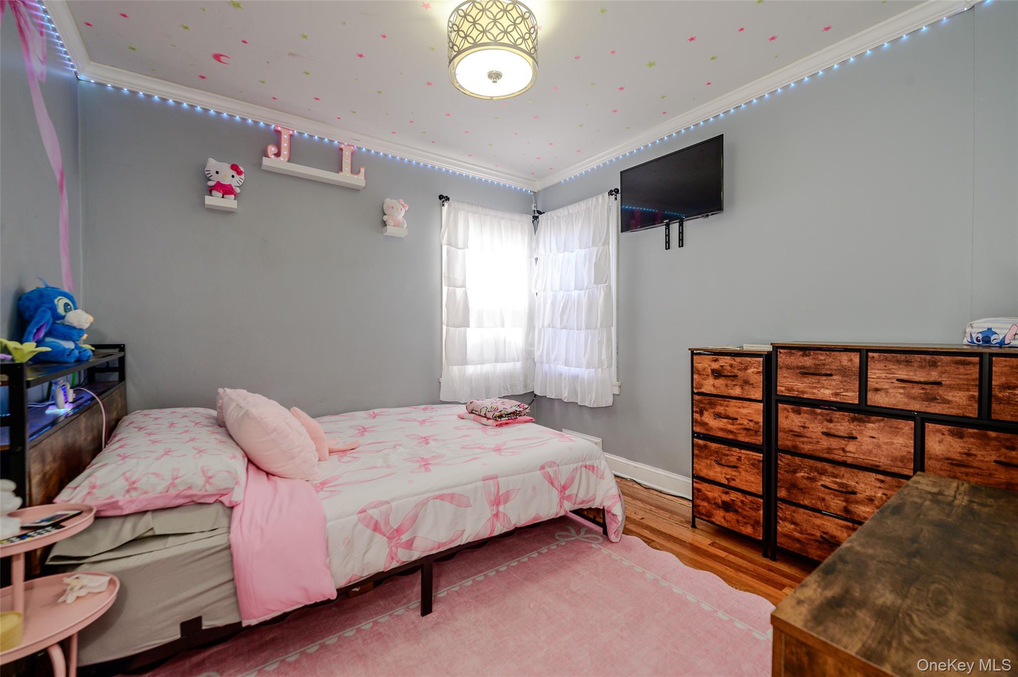Single Family N Montgomery Street Nassau County, NY 11580, MLS-1006366-9