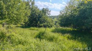 Single Family Camby Road Dutchess County, NY 12545, MLS-1006396-23