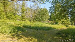 Single Family Camby Road Dutchess County, NY 12545, MLS-1006396-24