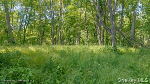 Single Family Camby Road Dutchess County, NY 12545, MLS-1006396-26