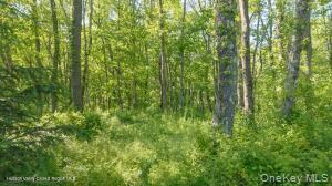 Single Family Camby Road Dutchess County, NY 12545, MLS-1006396-27