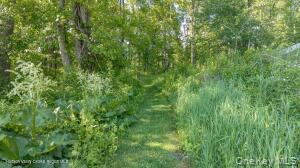 Single Family Camby Road Dutchess County, NY 12545, MLS-1006396-28