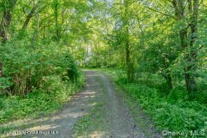 Single Family Camby Road Dutchess County, NY 12545, MLS-1006396-29