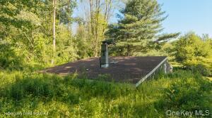 Single Family Camby Road Dutchess County, NY 12545, MLS-1006396-3