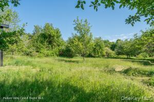 Single Family Camby Road Dutchess County, NY 12545, MLS-1006396-30