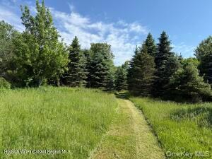 Single Family Camby Road Dutchess County, NY 12545, MLS-1006396-32