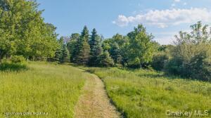 Single Family Camby Road Dutchess County, NY 12545, MLS-1006396-5