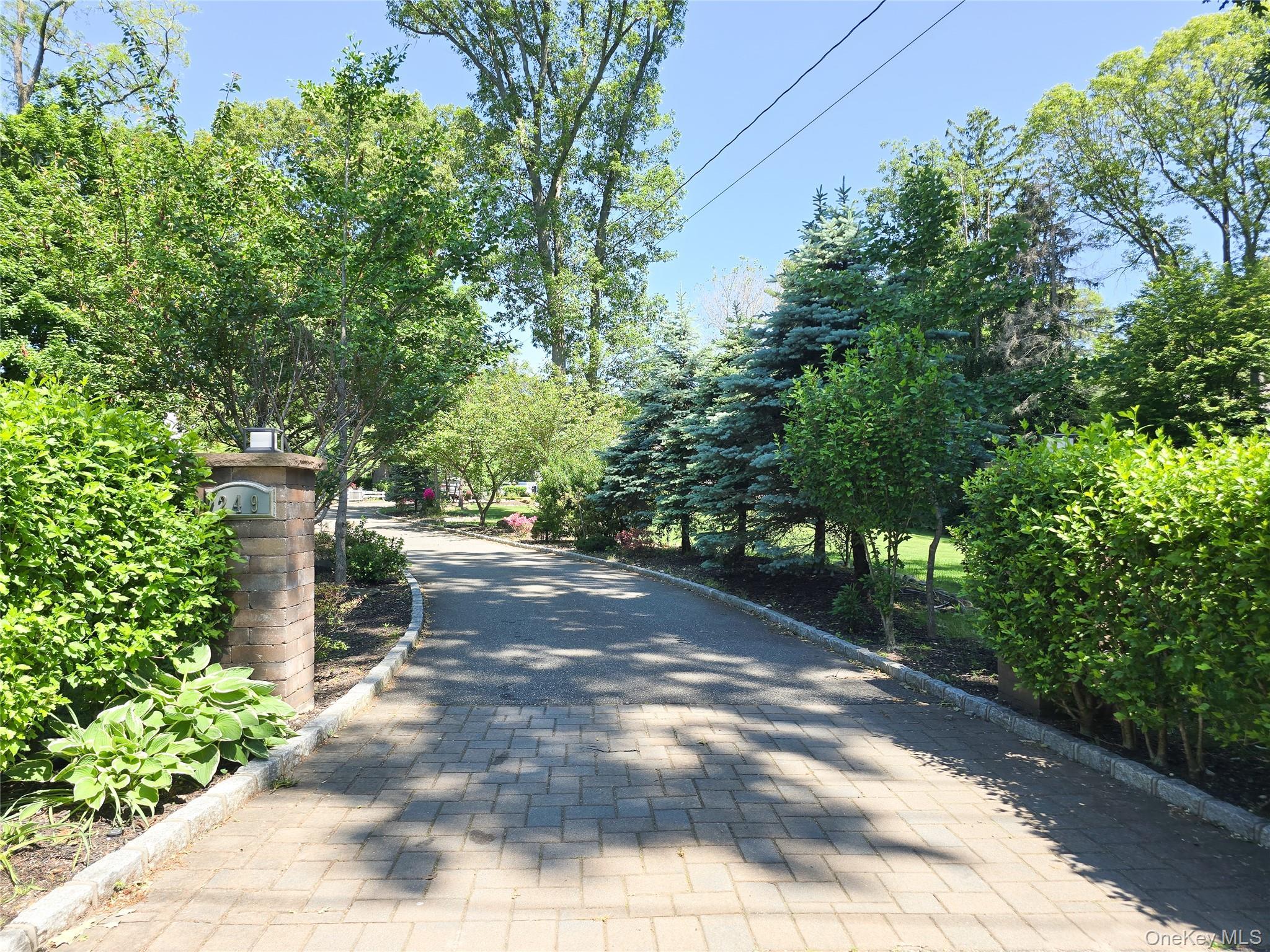 Single Family Cold Spring Road  Nassau County, NY 11791, MLS-1006505-3