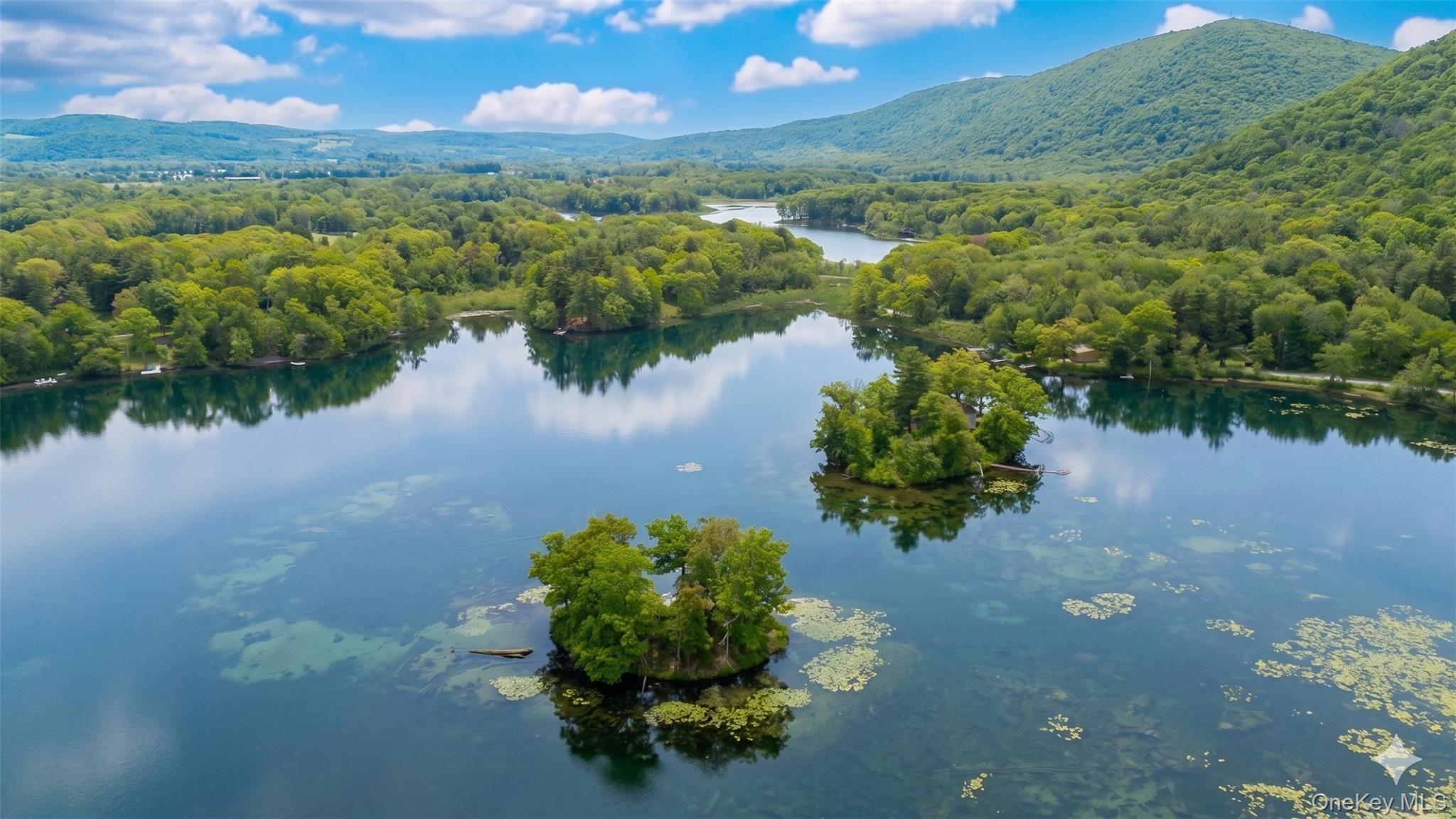 Single Family Lake Road Dutchess County, NY 12567, MLS-1006574-12