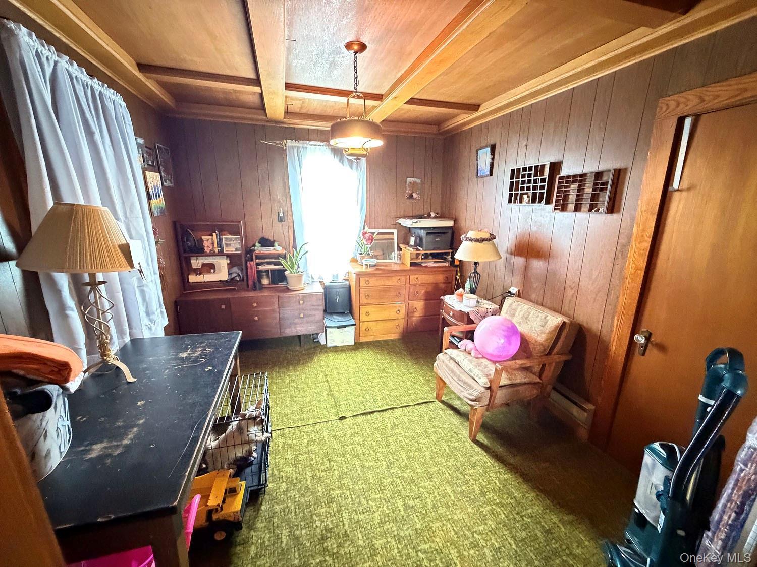 Single Family Banuat Sullivan County, NY 12766, MLS-1006649-15