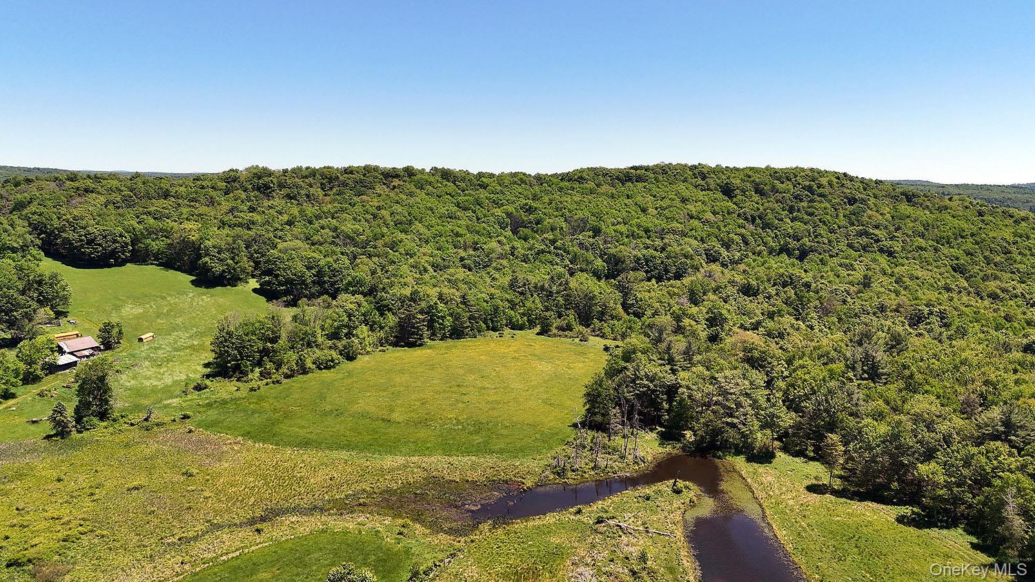 Single Family Banuat Sullivan County, NY 12766, MLS-1006649-5