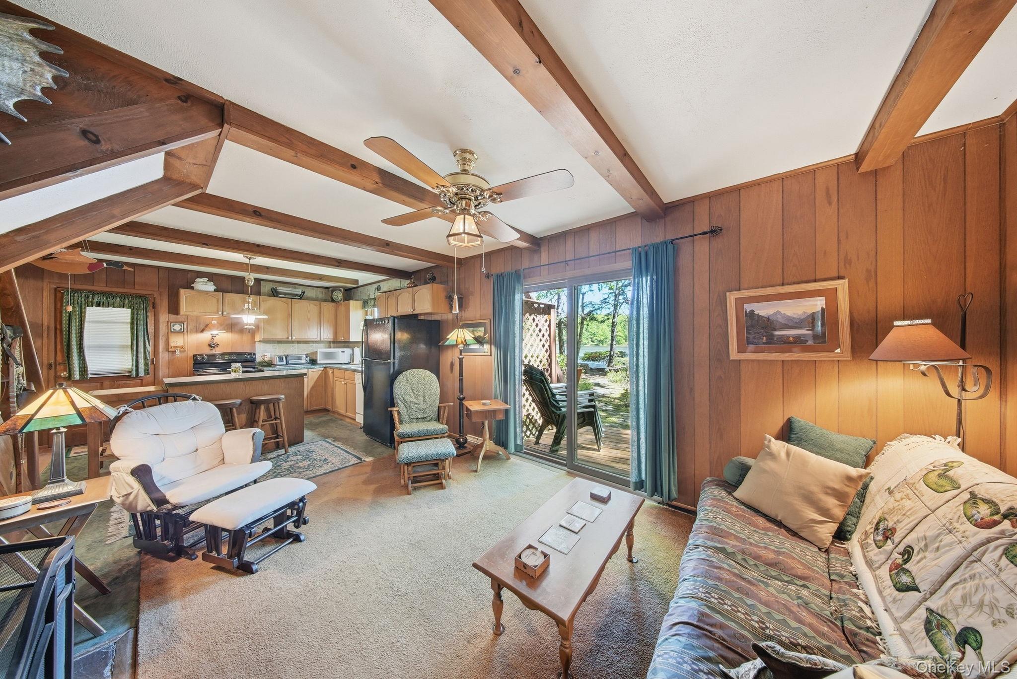 Single Family East Road Sullivan County, NY 12790, MLS-1006663-14