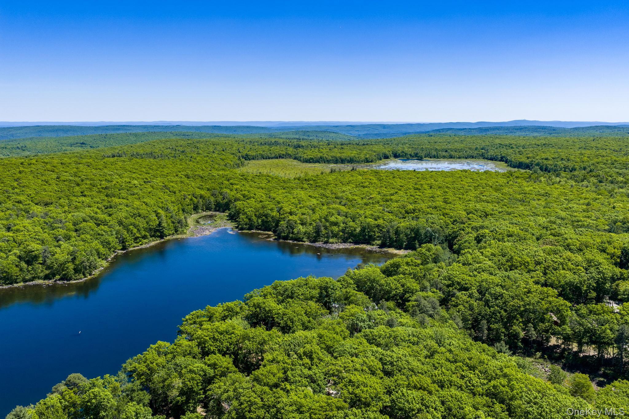 Single Family East Road Sullivan County, NY 12790, MLS-1006663-42