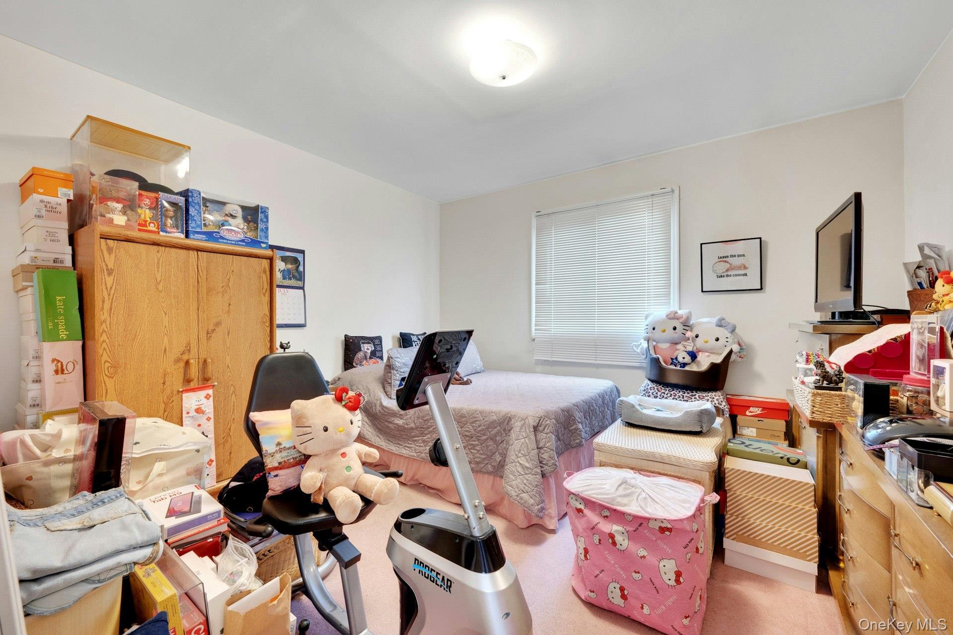 Single Family Pelham Road  Westchester County, NY 10805, MLS-1006681-12