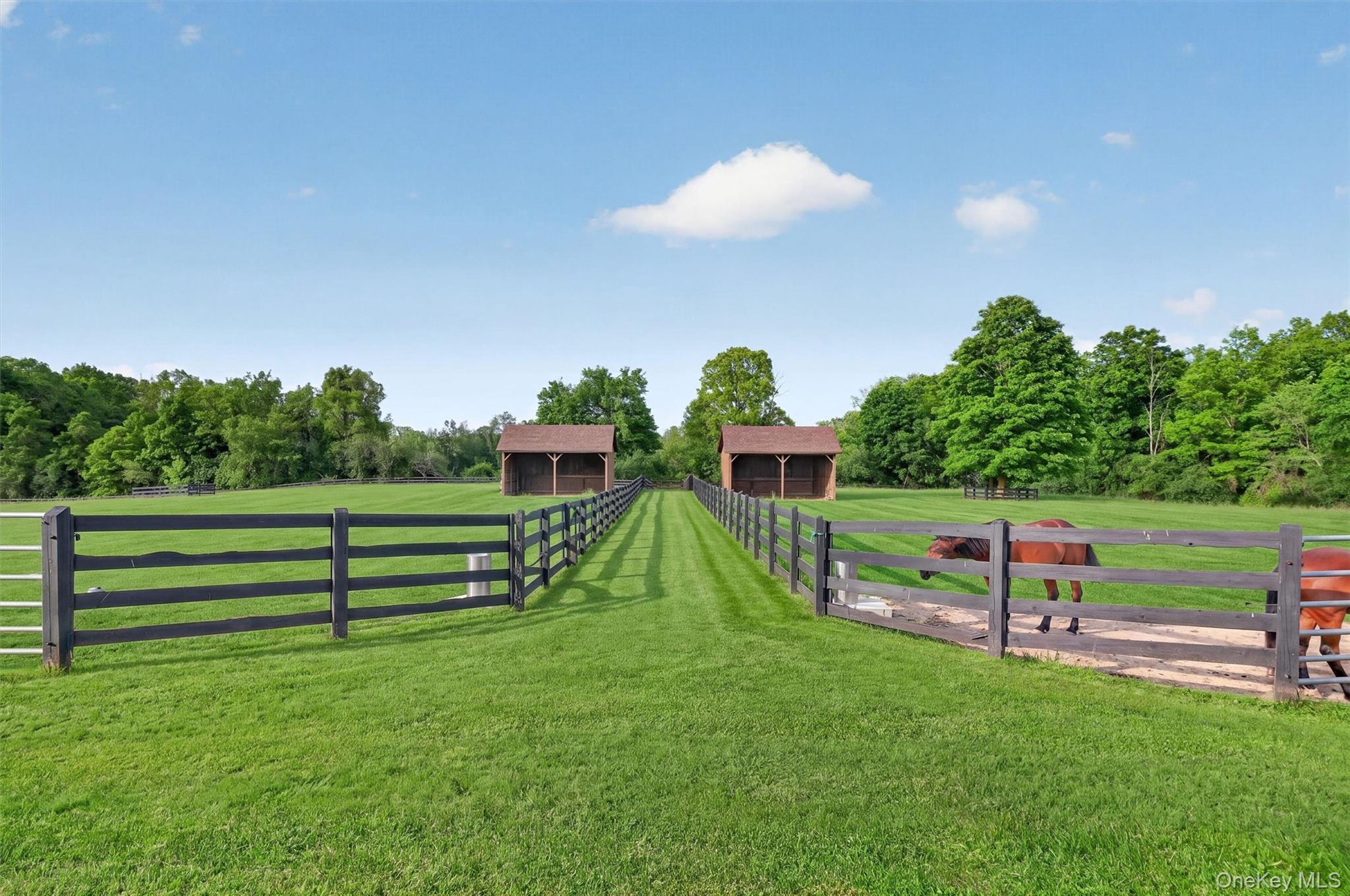 Single Family Hasbrouck Road  Orange County, NY 10924, MLS-1006682-6