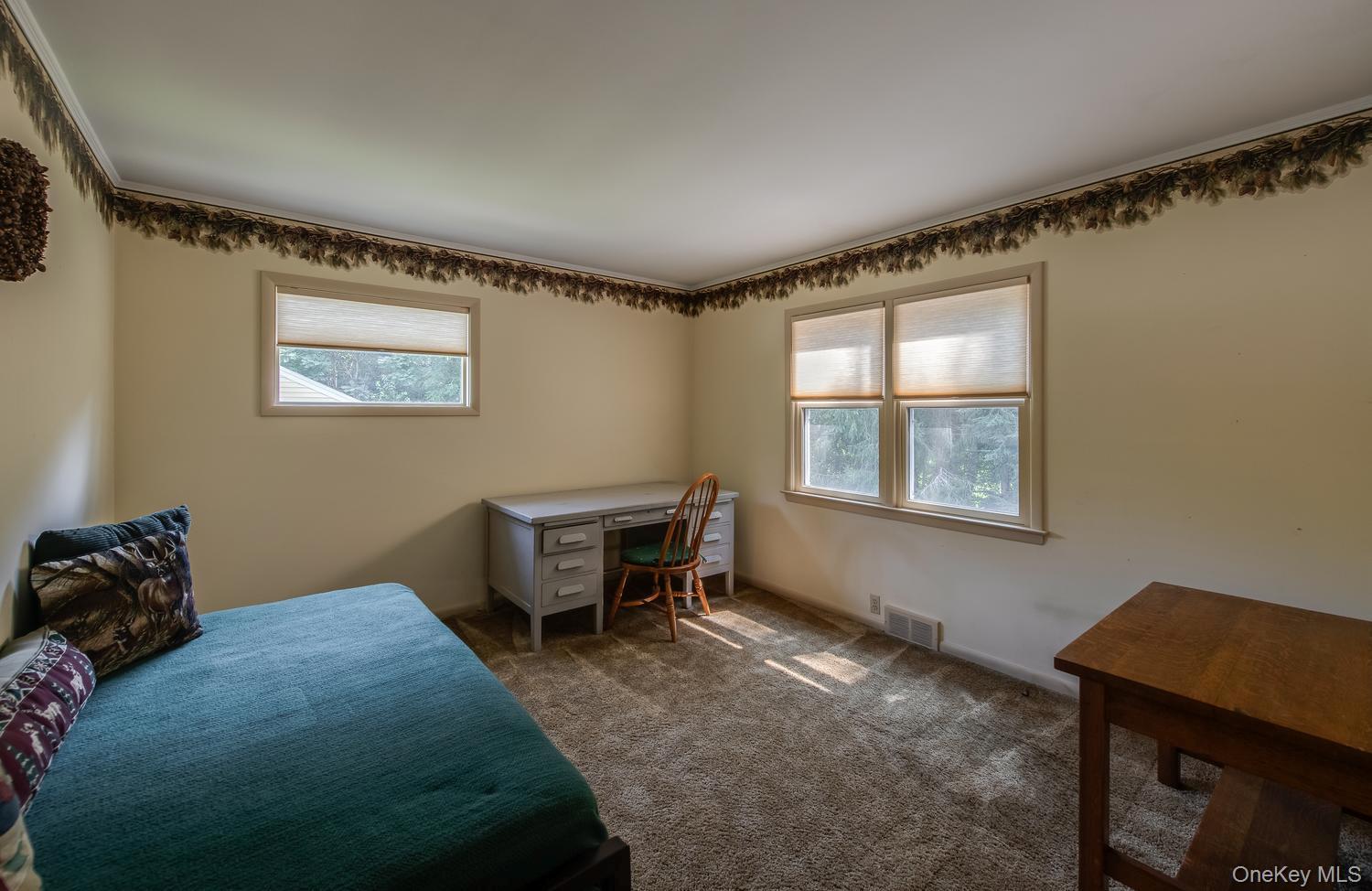 Single Family Homer Place  Dutchess County, NY 12603, MLS-1006696-43