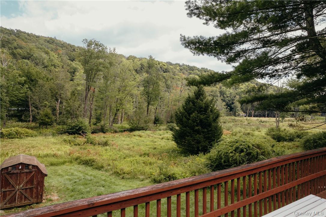 Single Family Brookside Drive  Sullivan County, NY 12765, MLS-1006736-16