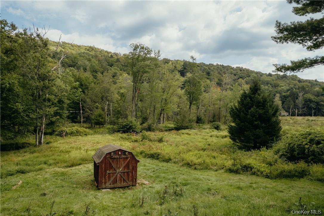 Single Family Brookside Drive  Sullivan County, NY 12765, MLS-1006736-17