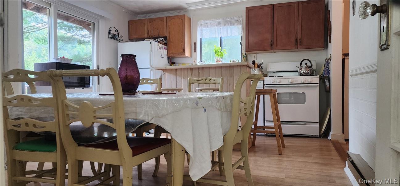 Single Family Brookside Drive  Sullivan County, NY 12765, MLS-1006736-21