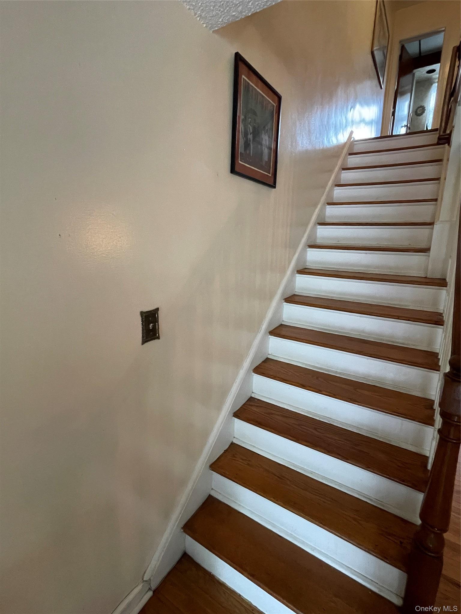 Single Family 217th Street Queens, NY 11411, MLS-1006805-14