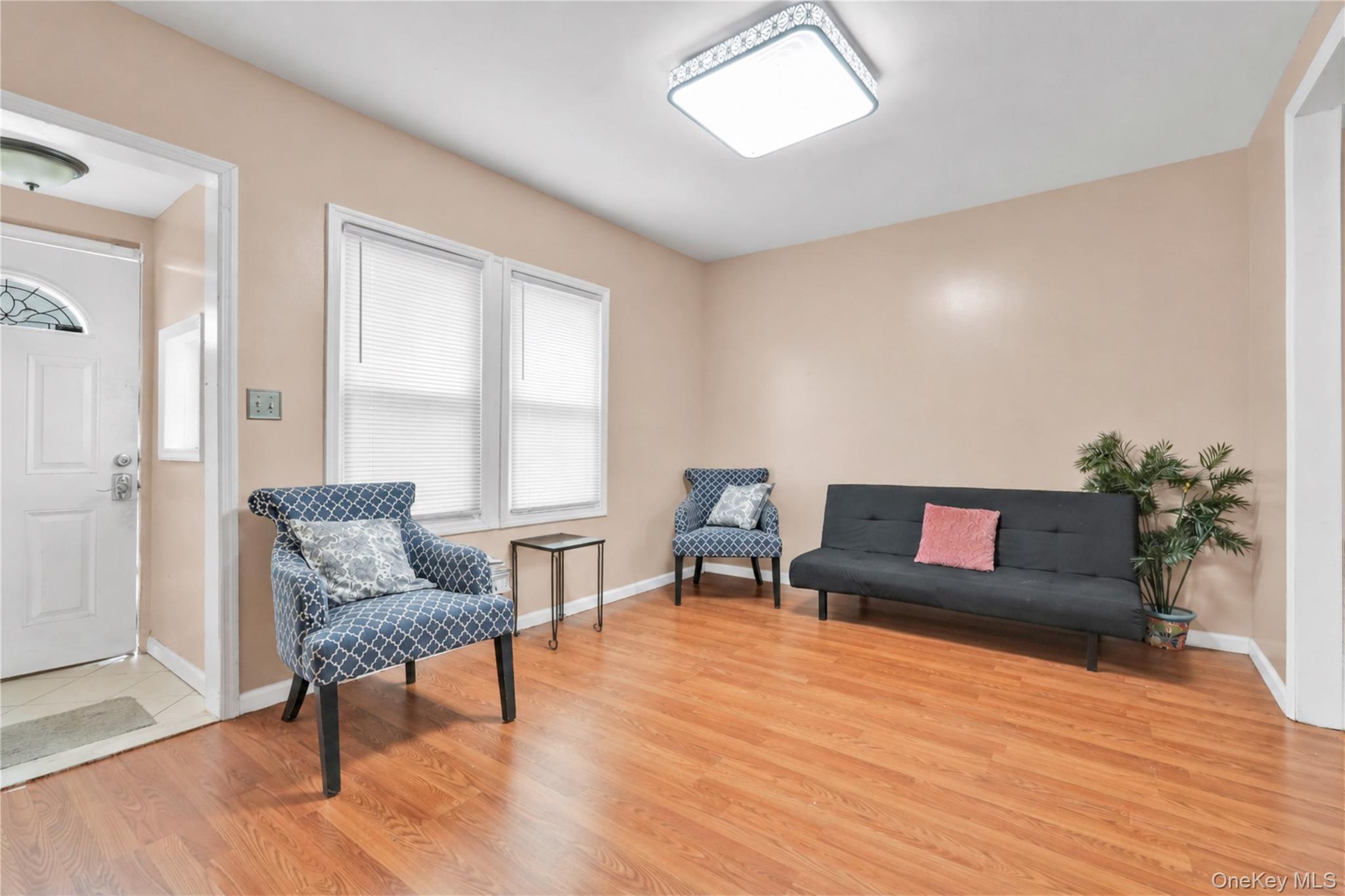 Single Family 146th  Queens, NY 11436, MLS-1006848-5